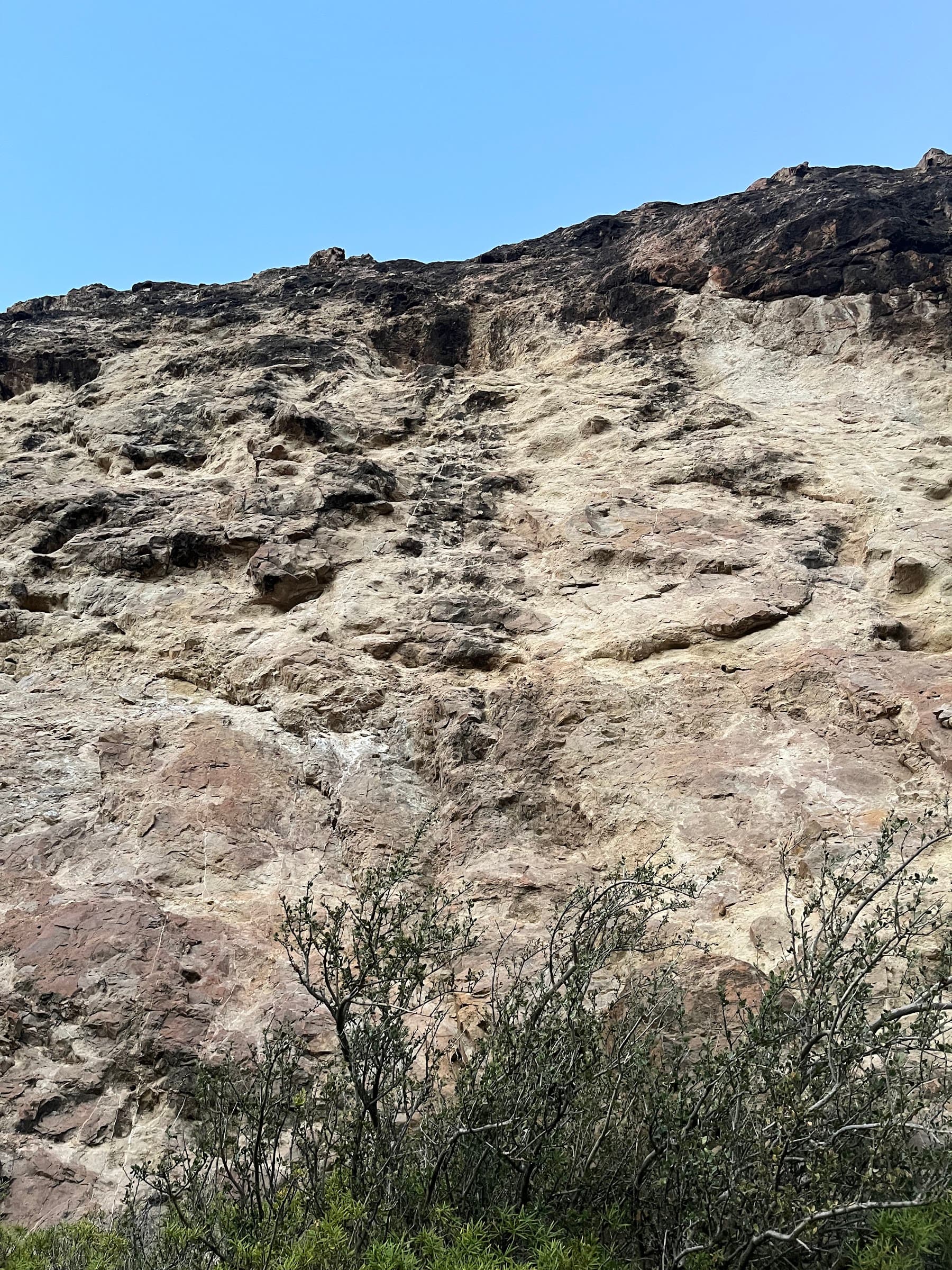Pared y matorral
